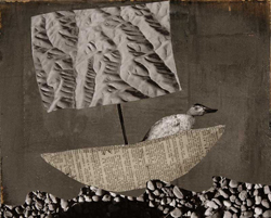 HOLLY ROBERTS - Dry Land, collage, photography, painting